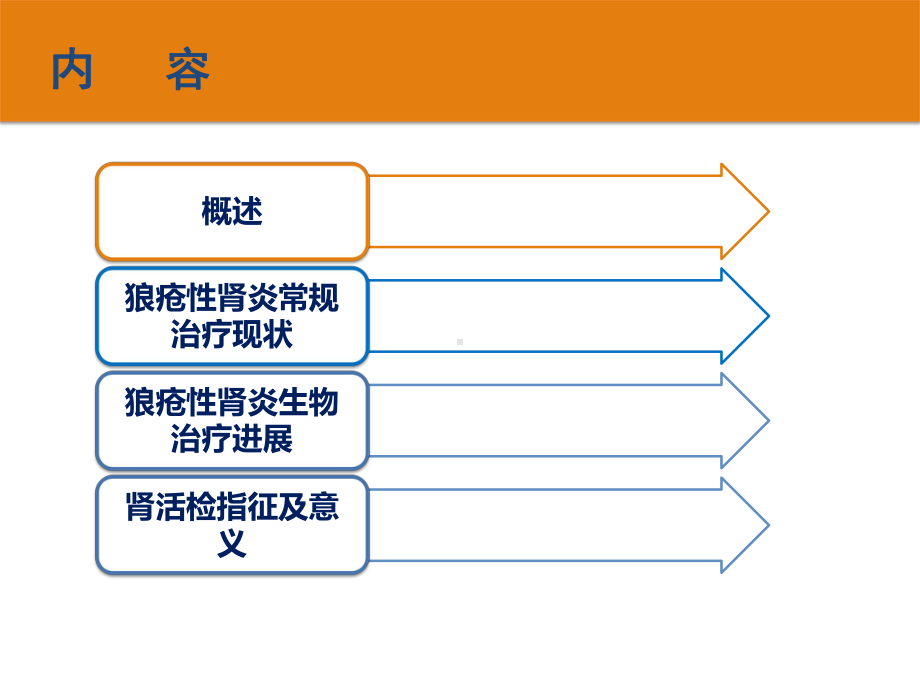 狼疮性肾炎的治疗现状及进展课件.pptx_第3页