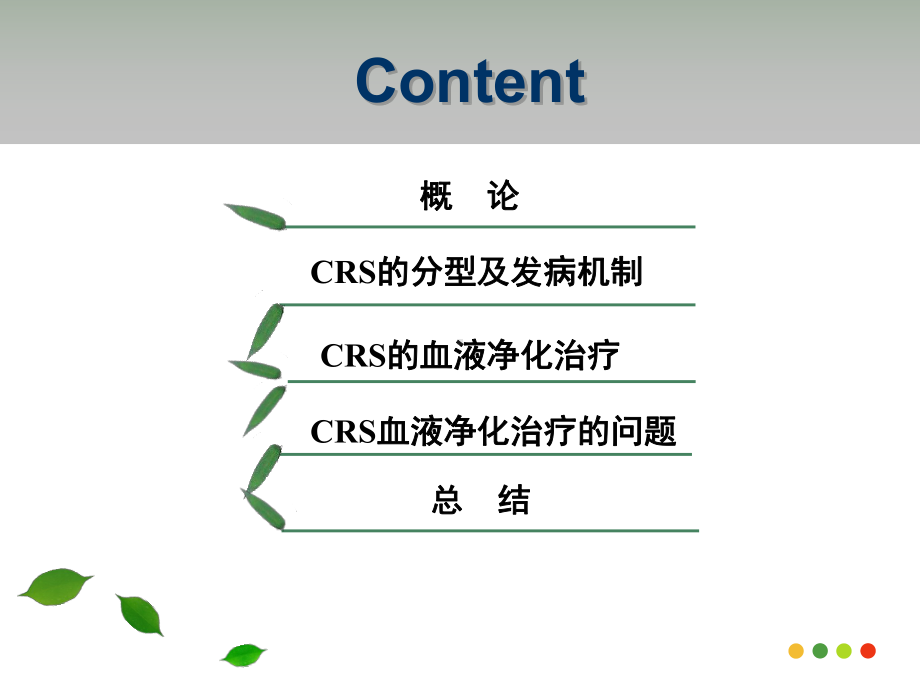 CRRT与心肾综合征2课件.ppt_第2页