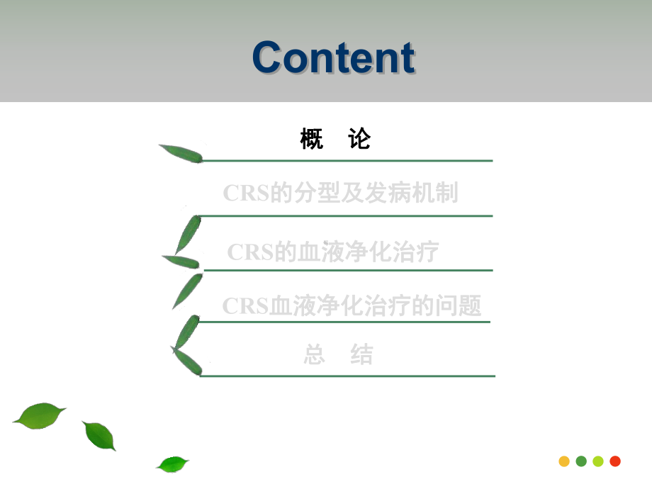 CRRT与心肾综合征2课件.ppt_第3页