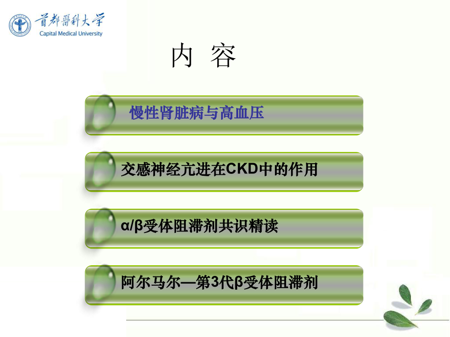 阿尔马尔在肾内科的应用课件.ppt_第2页