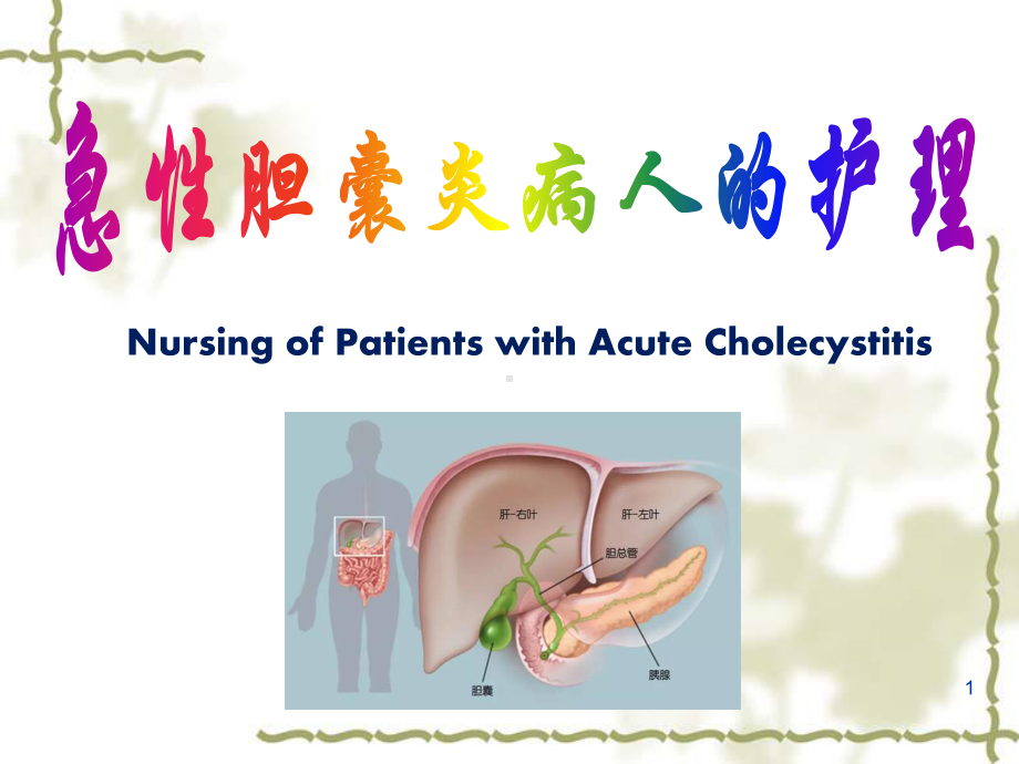 急性胆囊炎病人的护理PPT课件.ppt_第1页