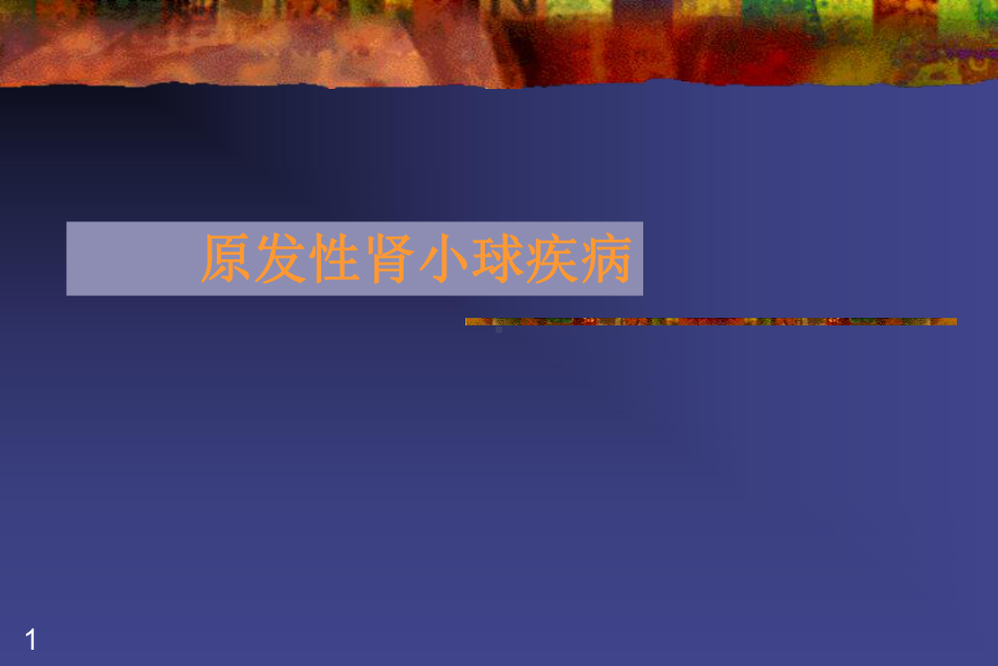 原发性肾小球疾病ppt课件.ppt_第1页