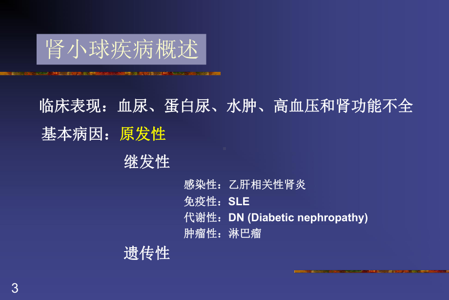 原发性肾小球疾病ppt课件.ppt_第3页