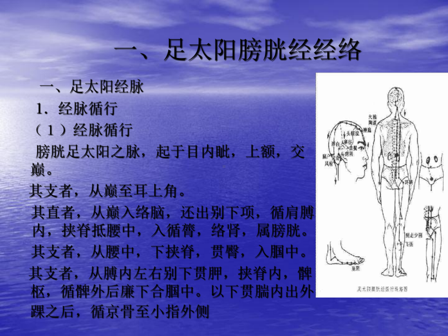 ppt-足太阳膀胱经课件.ppt_第2页