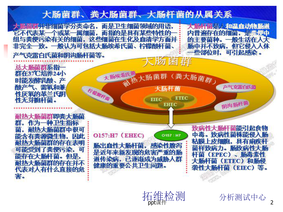 大肠杆菌1-ppt课件.ppt_第2页