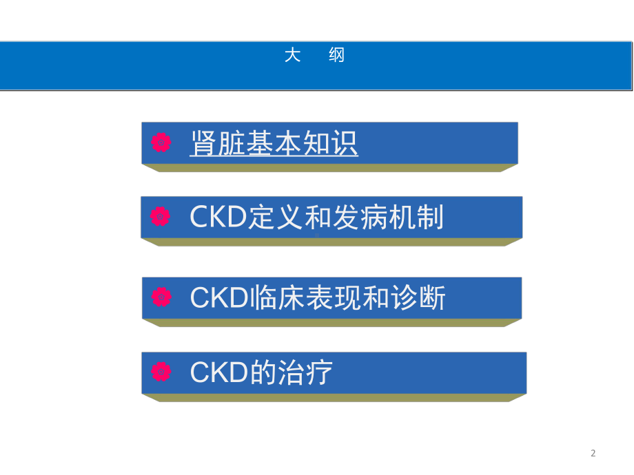 慢性肾脏病医学知识培训PPT课件.ppt_第2页