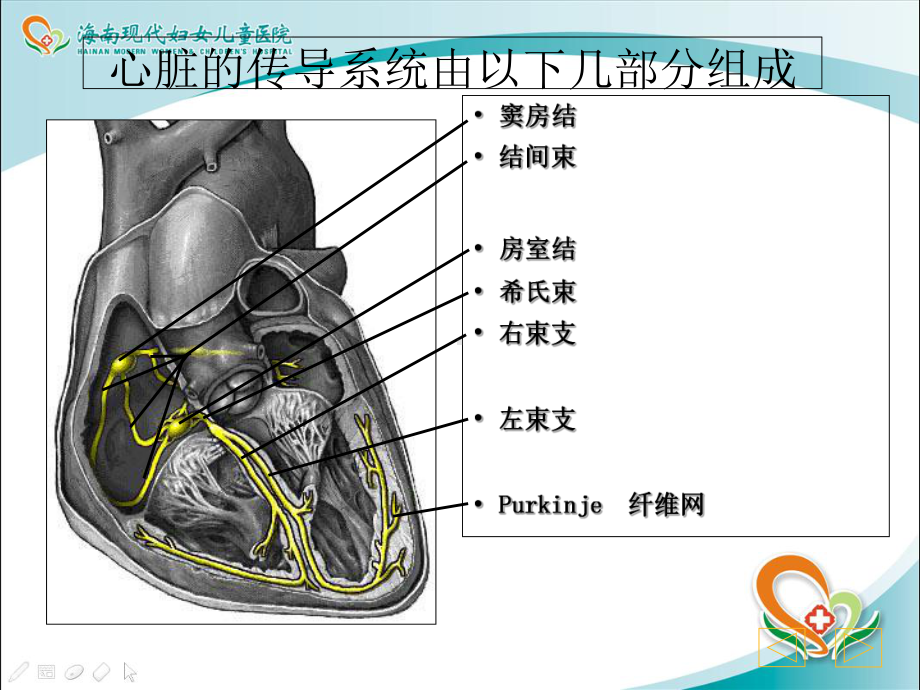 浅谈心电图分析及诊断课件.ppt_第3页