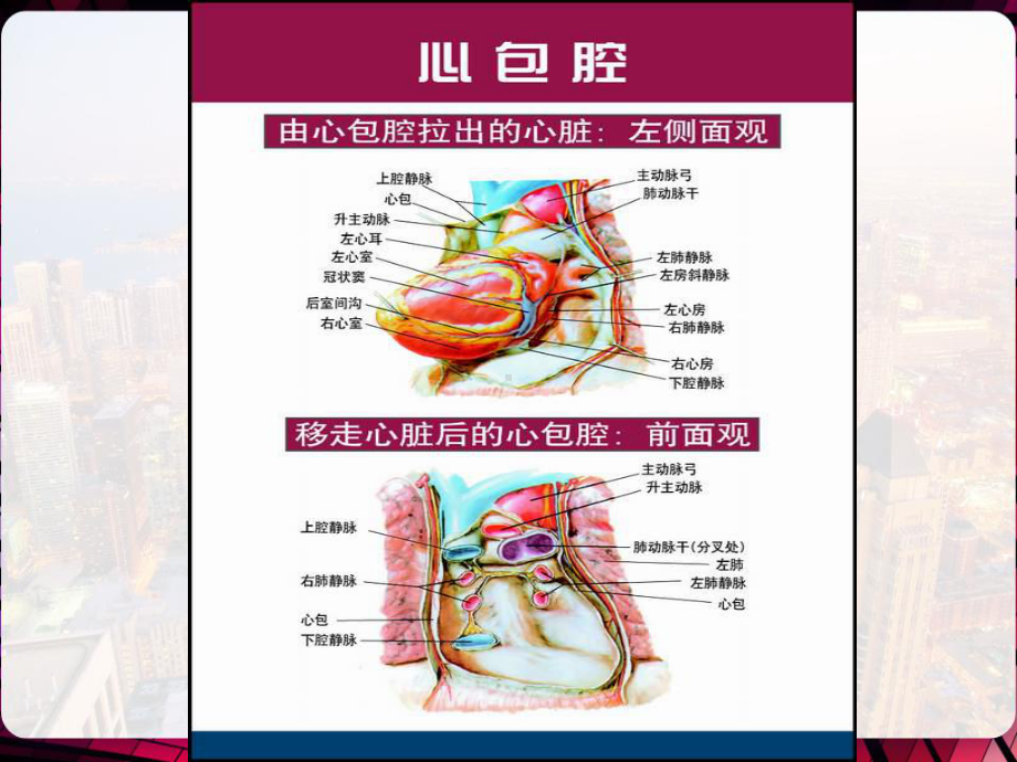 心包疾病心脏肿瘤-PPT课件.pptx_第3页