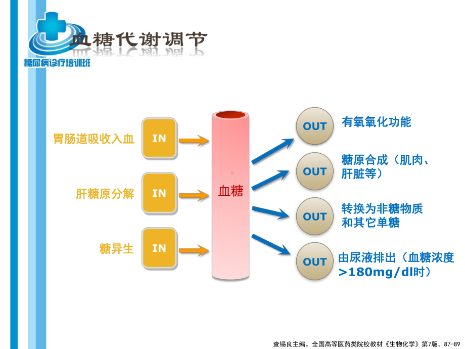 糖尿病的基础知识PPT课件.ppt_第3页