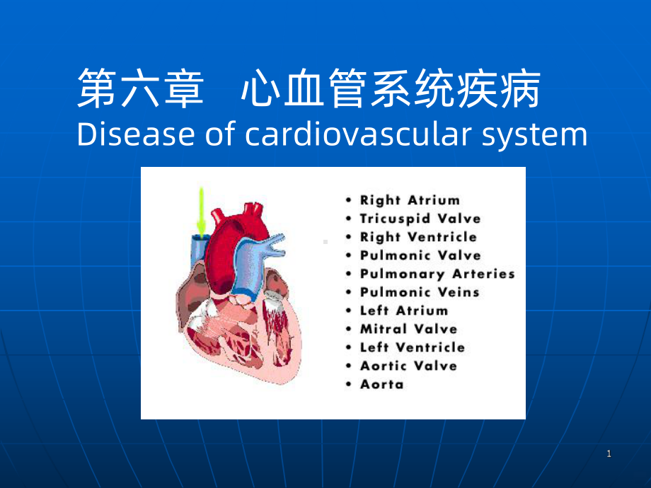 心血管疾病(动脉粥样硬化)PPT课件.ppt_第1页