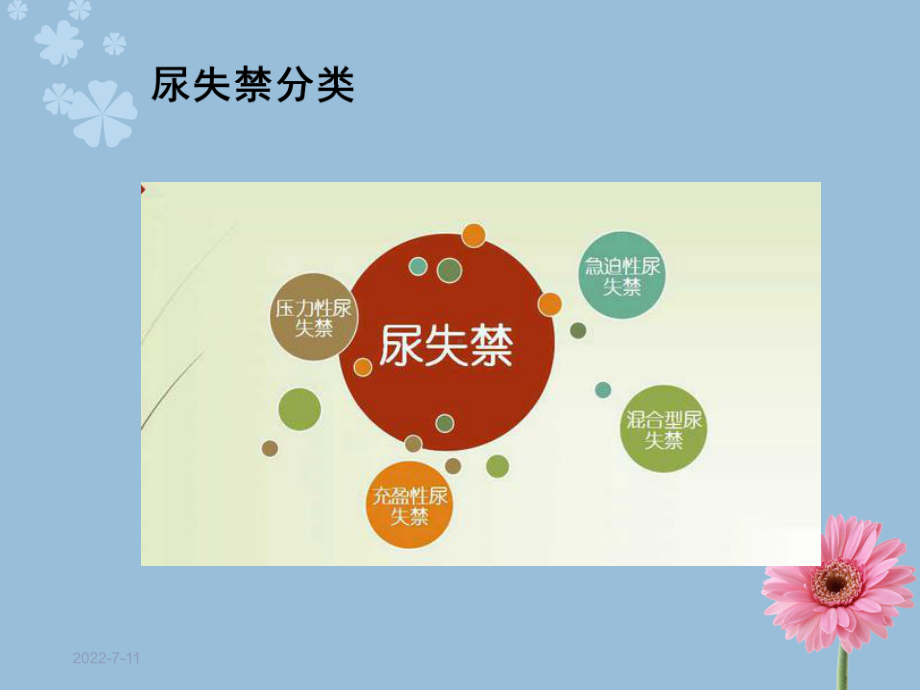 压力性尿失禁护理查房课件.ppt_第2页