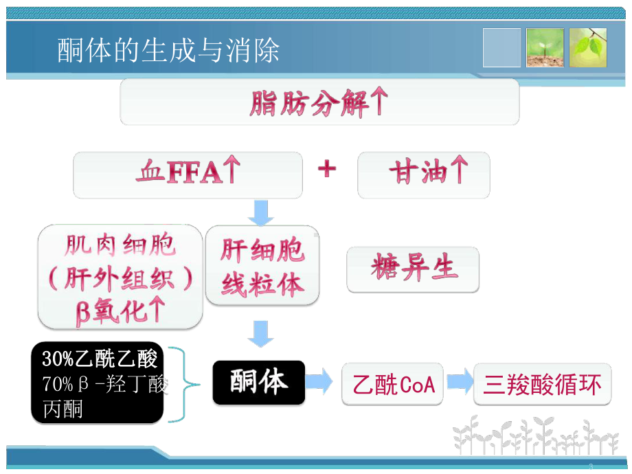 糖尿病酮症一例病例分析课件.ppt_第3页