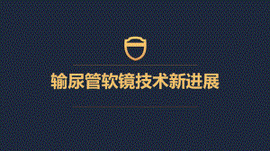 输尿管软镜技术的新进展课件.ppt