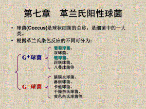 凝固酶阴性的葡萄球菌课件.ppt