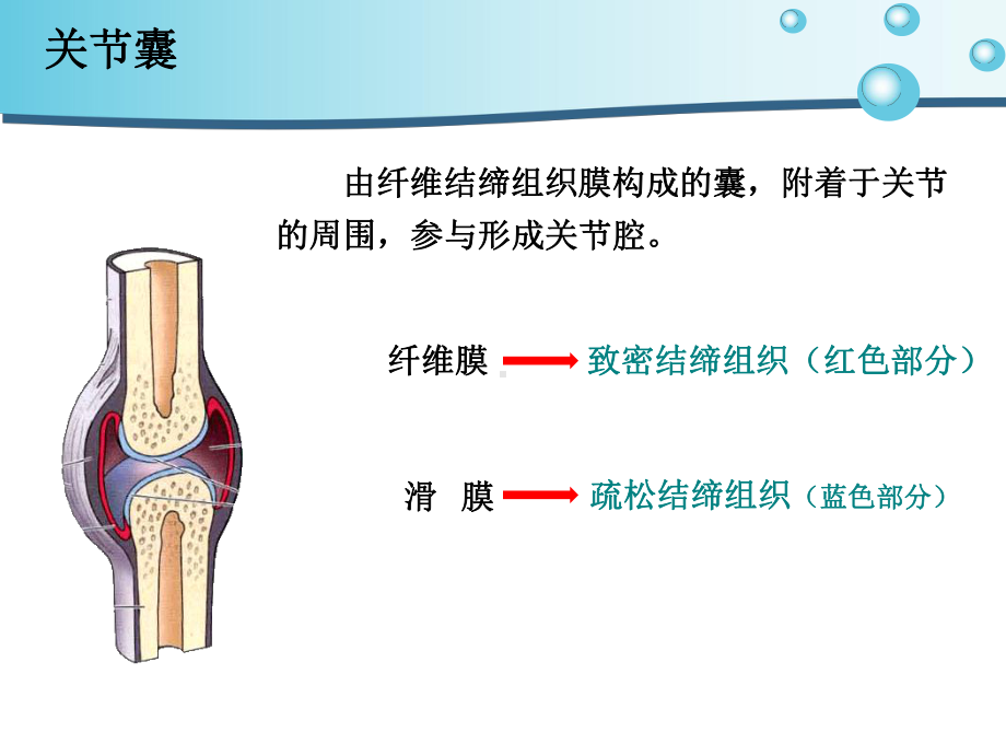 肩关节脱位病人的护理课件.ppt_第3页