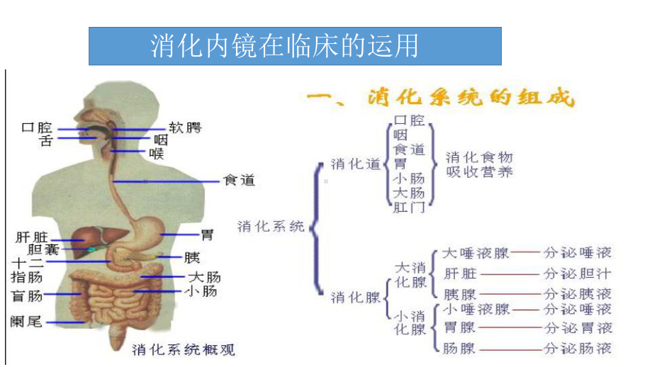 胃肠镜1PPT课件.pptx_第1页