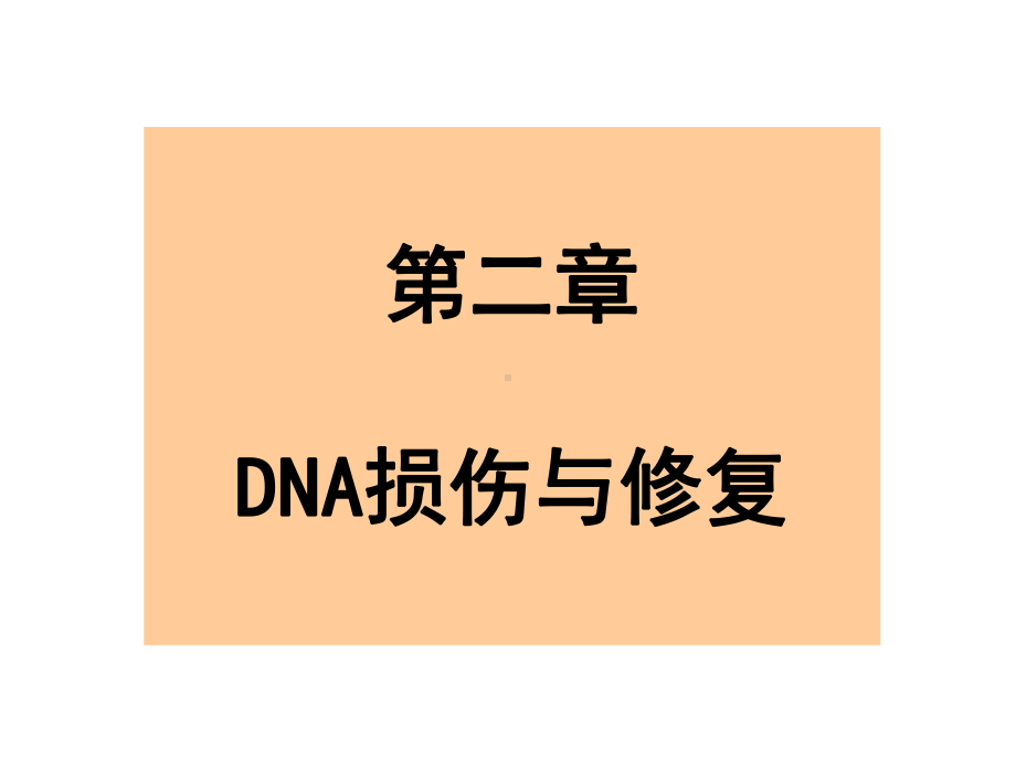 DNA的损伤与修复讲义课件.ppt_第1页