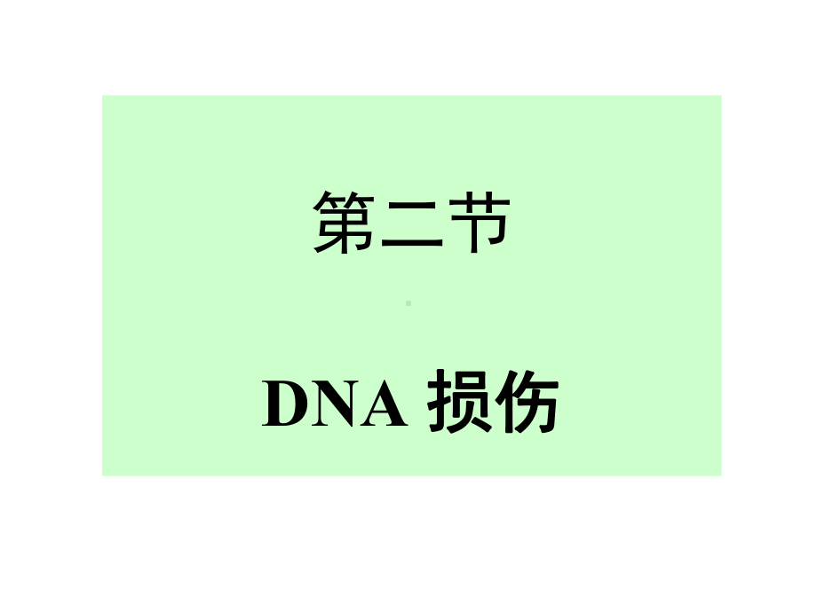 DNA的损伤与修复讲义课件.ppt_第2页