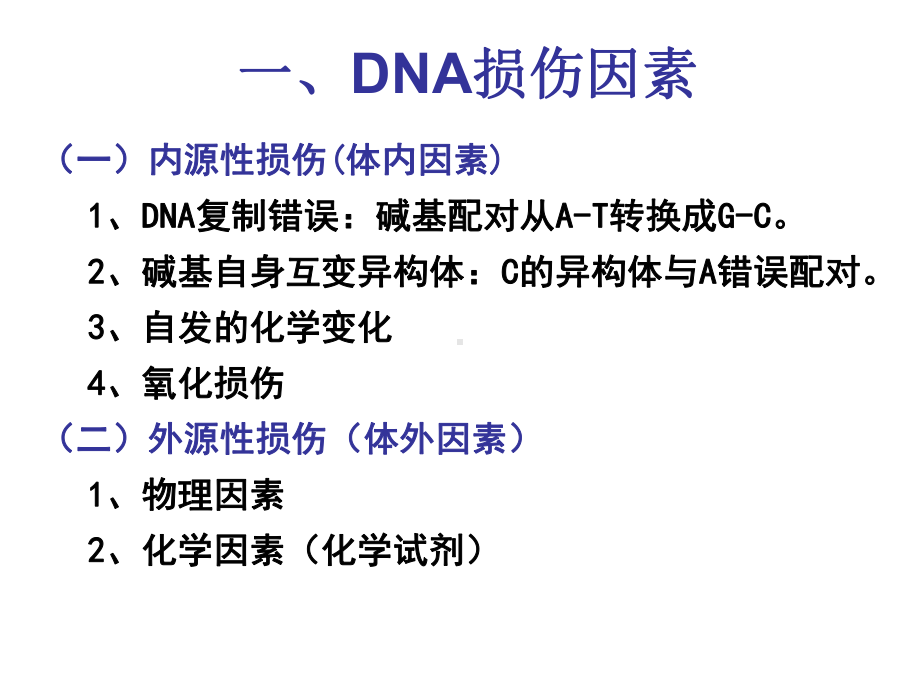 DNA的损伤与修复讲义课件.ppt_第3页