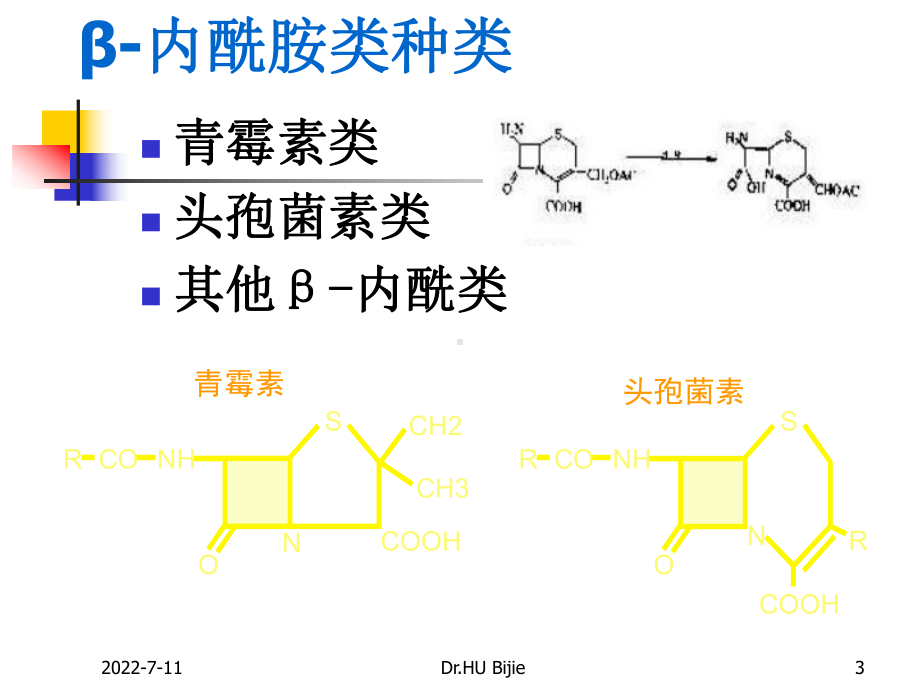 1抗细菌感染基础知识课件.ppt_第3页