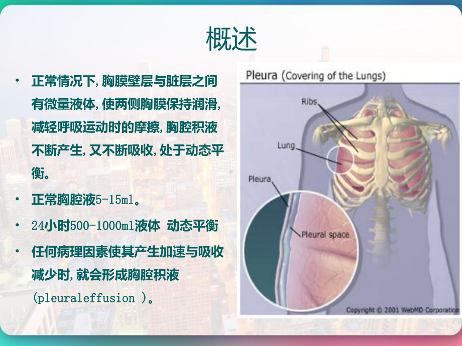 胸腔积液鉴别诊断-PPT课件.pptx_第2页