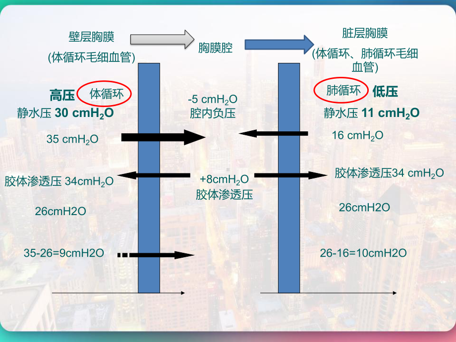 胸腔积液鉴别诊断-PPT课件.pptx_第3页