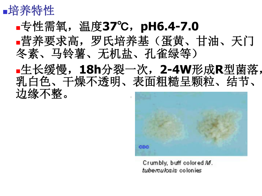 最新分枝杆菌属专业知识主题讲座课件.ppt_第2页