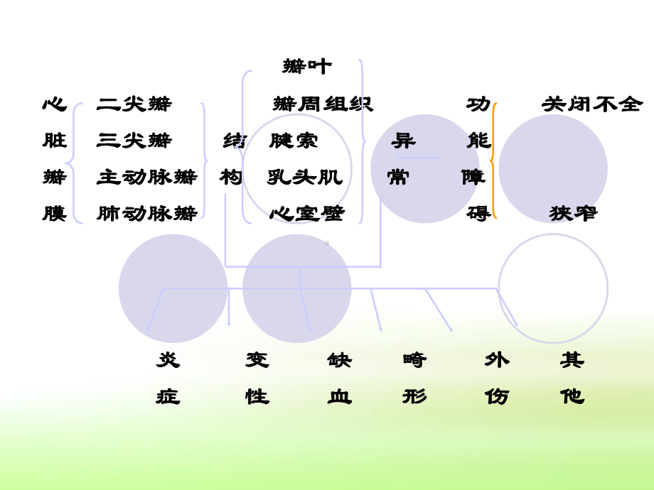 心脏瓣膜病定义和特点课件.ppt_第3页