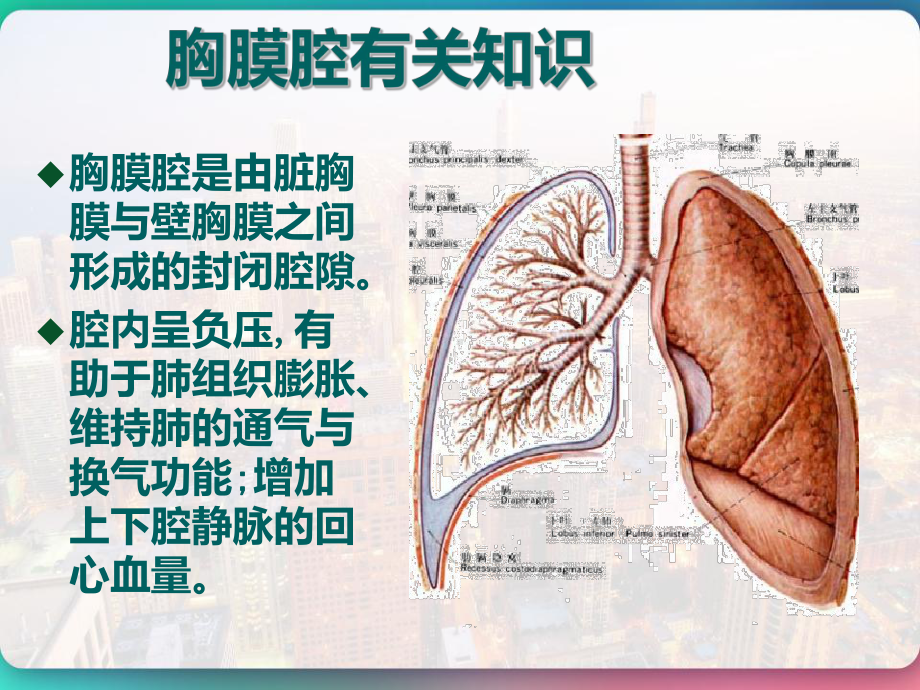 胸腔闭式引流的观察与护理-PPT课件.pptx_第3页