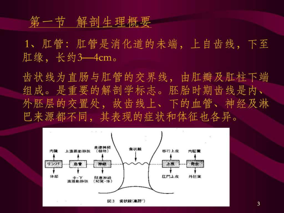 肛门直肠疾病.ppt课件.ppt_第3页