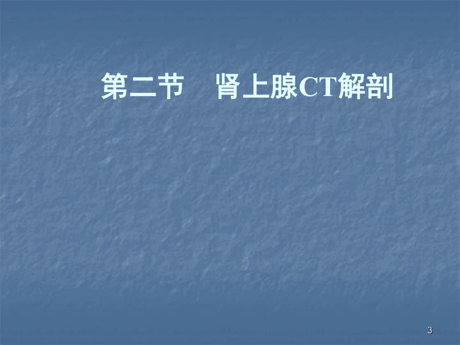 CT诊断学肾上腺CTppt课件.ppt_第3页