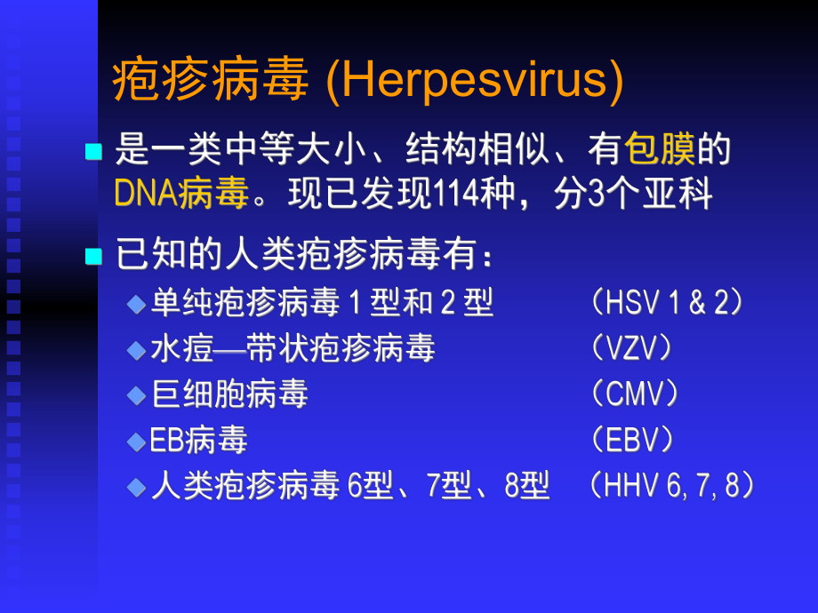 疱疹病毒医学微生物学课件.ppt_第2页