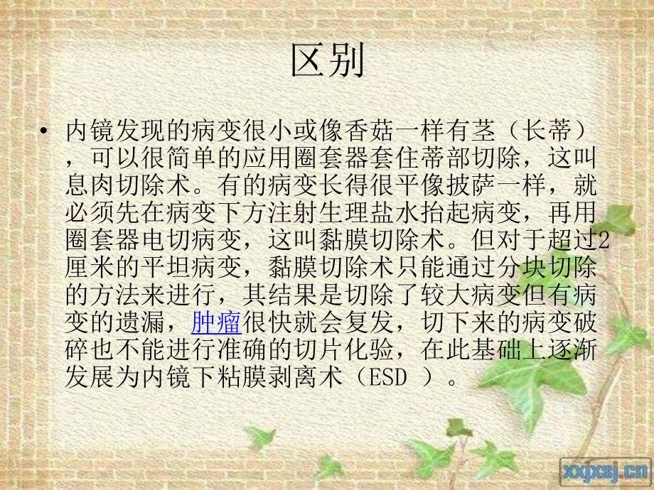 EMRESD治疗演示课件.ppt_第3页