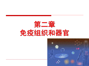 CH2 免疫组织和器官课件.ppt