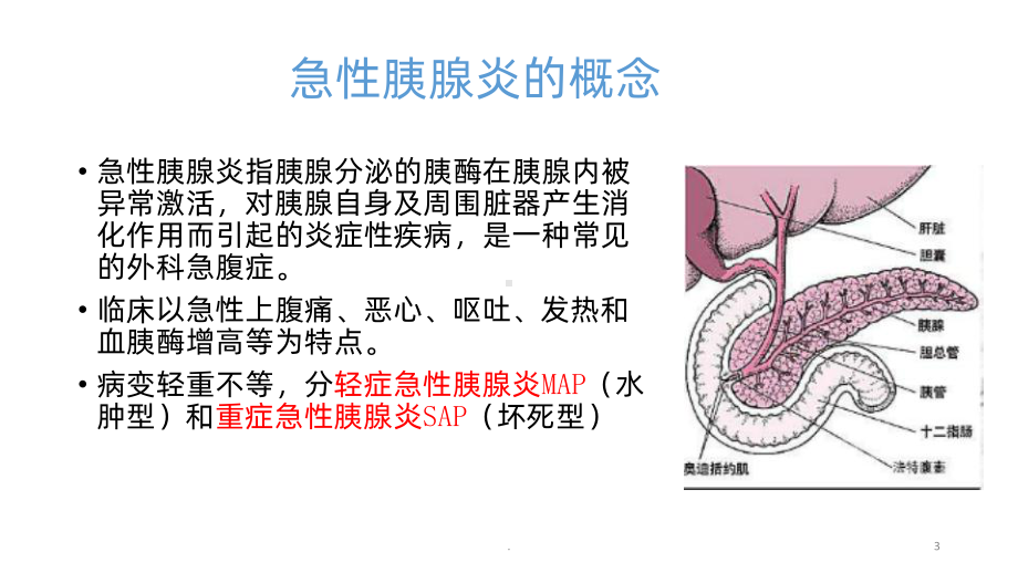 急性胰腺炎小讲座PPT课件.pptx_第3页