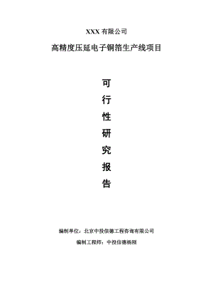 高精度压延电子铜箔生产线项目可行性研究报告建议书.doc