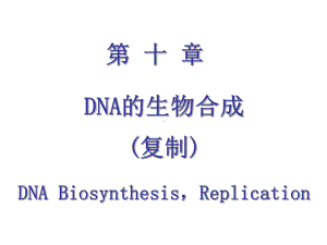 安徽医大基础医学生物化学 第十章 DNA的生物合成课件.ppt