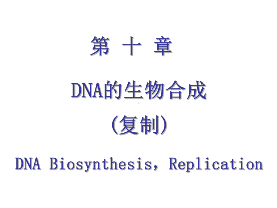 安徽医大基础医学生物化学 第十章 DNA的生物合成课件.ppt_第1页