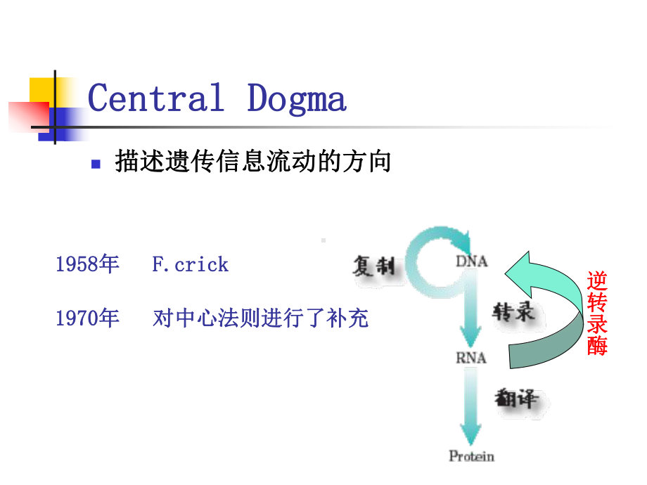 安徽医大基础医学生物化学 第十章 DNA的生物合成课件.ppt_第2页