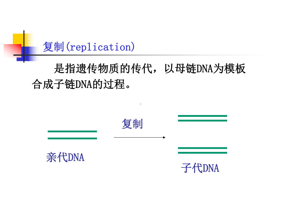 安徽医大基础医学生物化学 第十章 DNA的生物合成课件.ppt_第3页