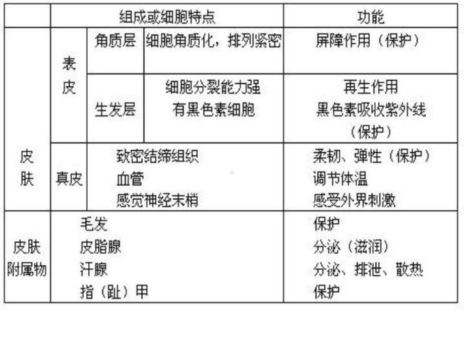 烧烫伤的处理及预防课件.pptx_第3页