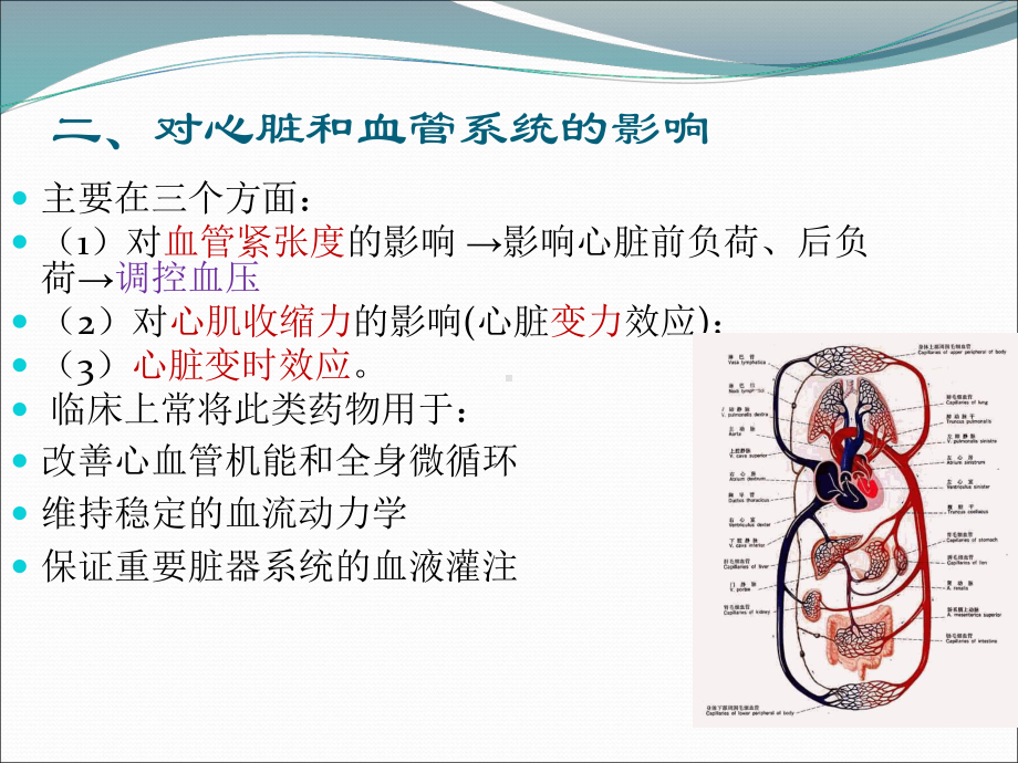 常用血管活性药物的应用PPT课件.ppt_第3页