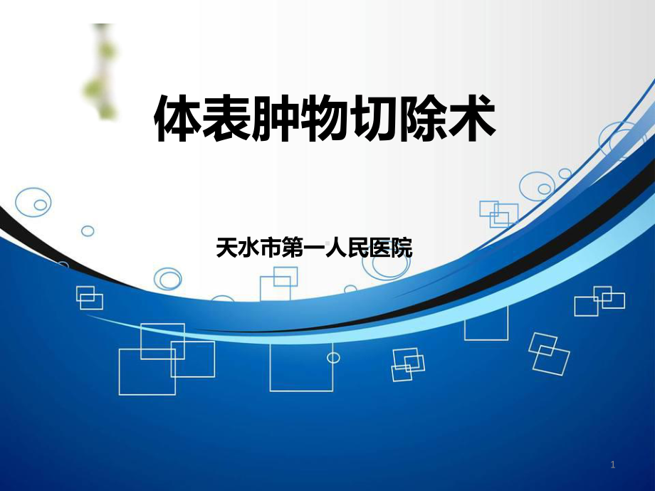 体表肿物切除术PPT课件.ppt_第1页