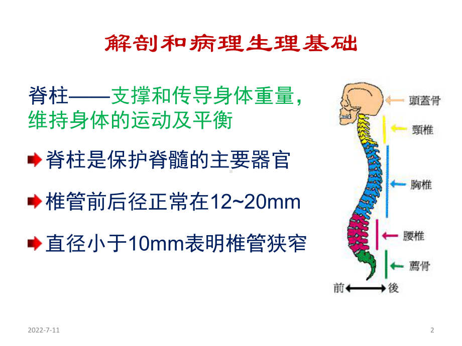 脊髓损伤康复(1)课件.pptx_第2页