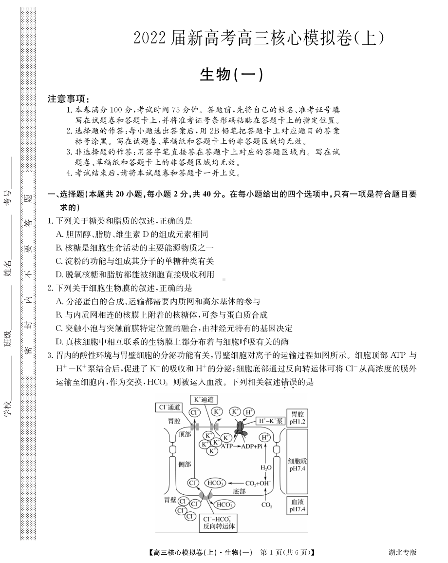 湖北省九师联盟2021-2022学年新高考高三上学期核心模拟卷生物试题（一）.pdf_第1页