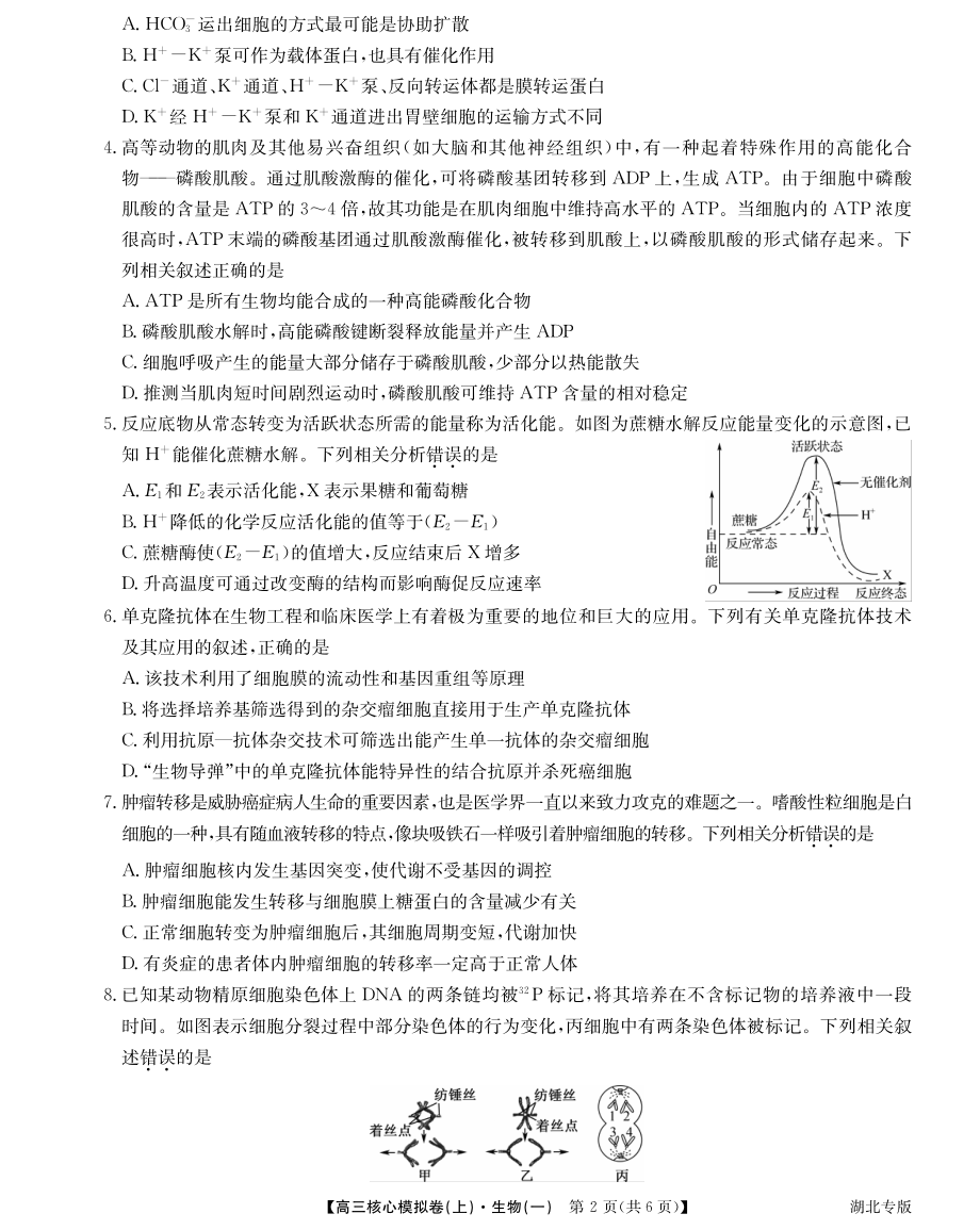 湖北省九师联盟2021-2022学年新高考高三上学期核心模拟卷生物试题（一）.pdf_第2页