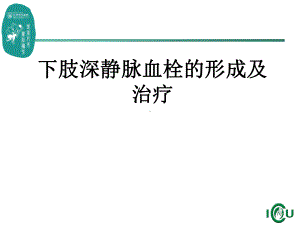 下肢深静脉血栓的形成及治疗PPT课件.ppt