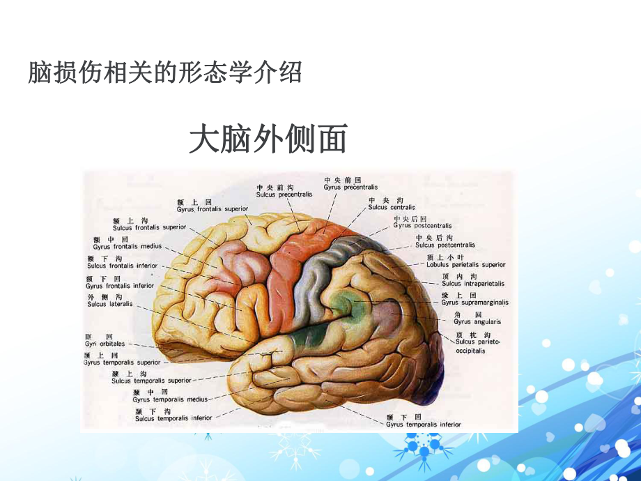 偏瘫的物理治疗思路与方法（康复医学课件）-pp.ppt_第3页