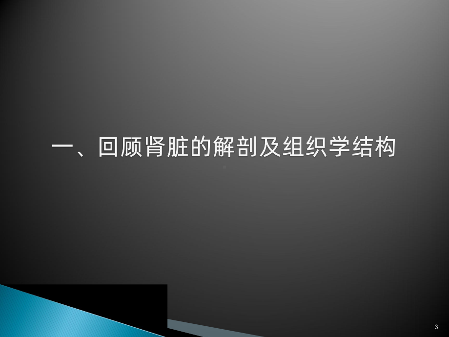 肾穿刺术的护理-PPT课件.ppt_第3页