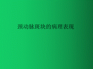 颈动脉斑块的病理表现课件.ppt